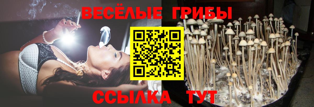 Галлюциногенные грибы мухоморы  сколько стоит  Барнаул  Вход с VPN 